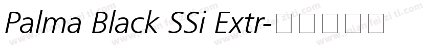 Palma Black SSi Extr字体转换